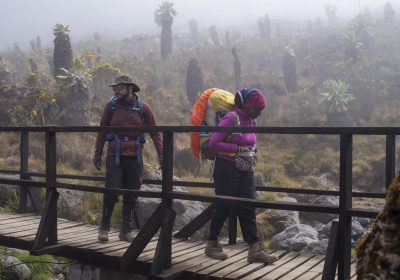 6 Days Machame Route