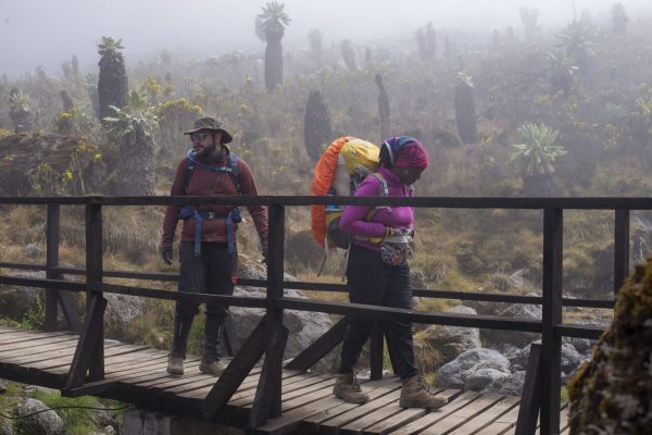 6 Days Machame Route