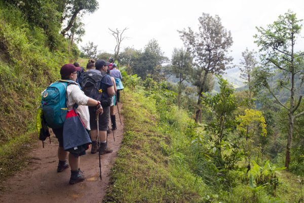 3-Day Best Hiking Trail in Rwanda