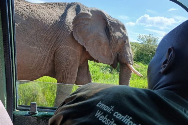 8-Day Uganda Wildlife Adventure Safari with Gorillas