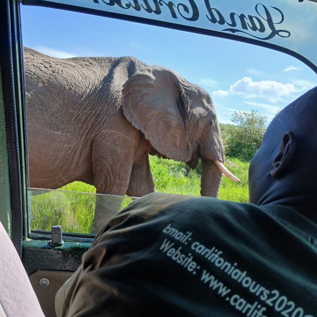 8-Day Uganda Wildlife Adventure Safari with Gorillas