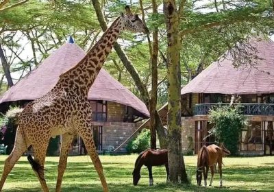 3-Day Mid Range Safari – Serengeti & Ngorongoro Crater