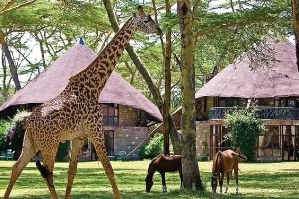 3-Day Mid Range Safari – Serengeti & Ngorongoro Crater