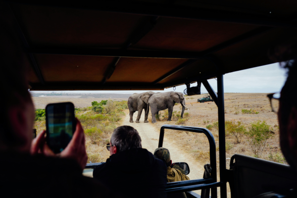 Journeys 104: Wild n Wet Africa