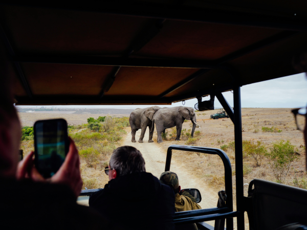 Journeys 104: Wild n Wet Africa