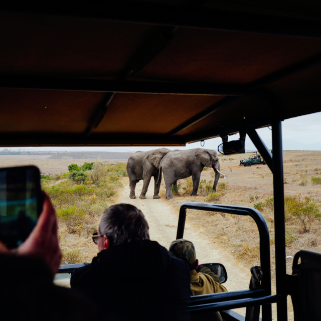 Journeys 104: Wild n Wet Africa