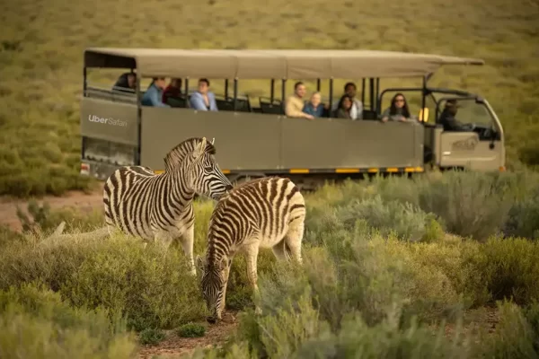 Journeys 102: Discover Kenya Safari