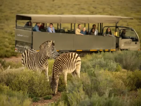 Journeys 102: Discover Kenya Safari